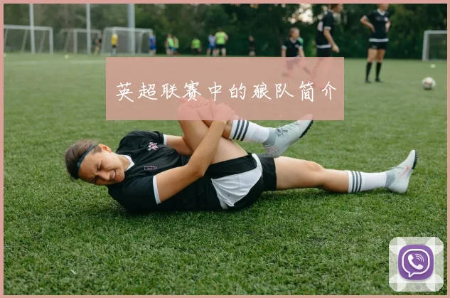 英超联赛中的狼队简介