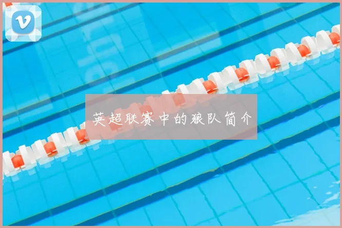 英超联赛中的狼队简介