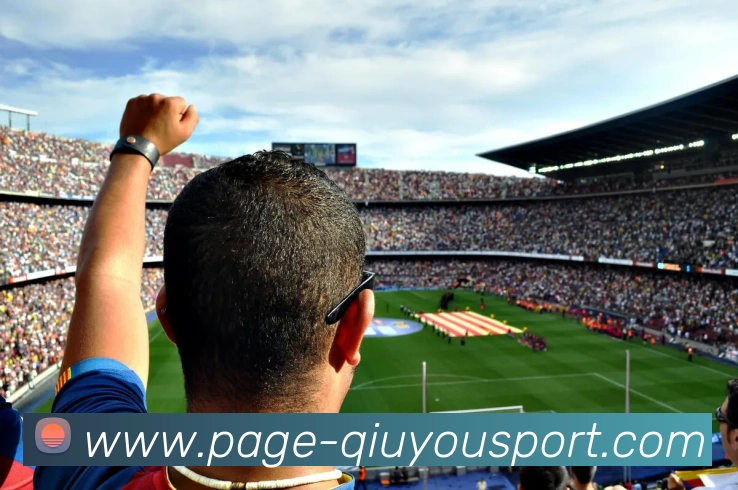 球友会平台生态图